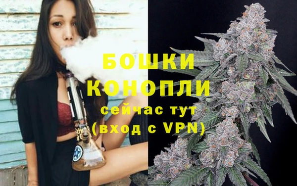 PSILOCYBIN Снежинск