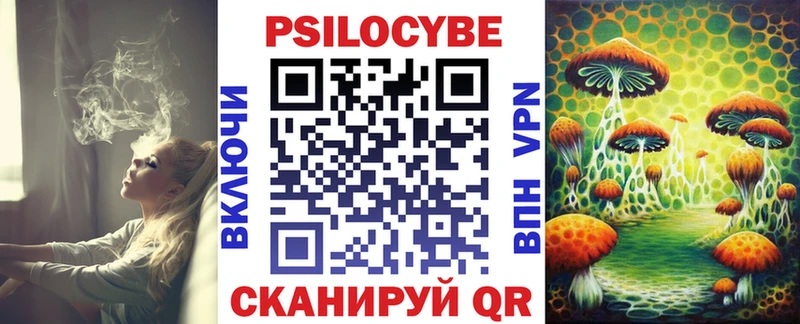 Псилоцибиновые грибы мицелий  Дегтярск 